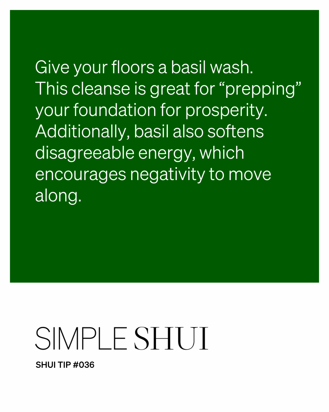 simple shui tip: give your floors a basil wash