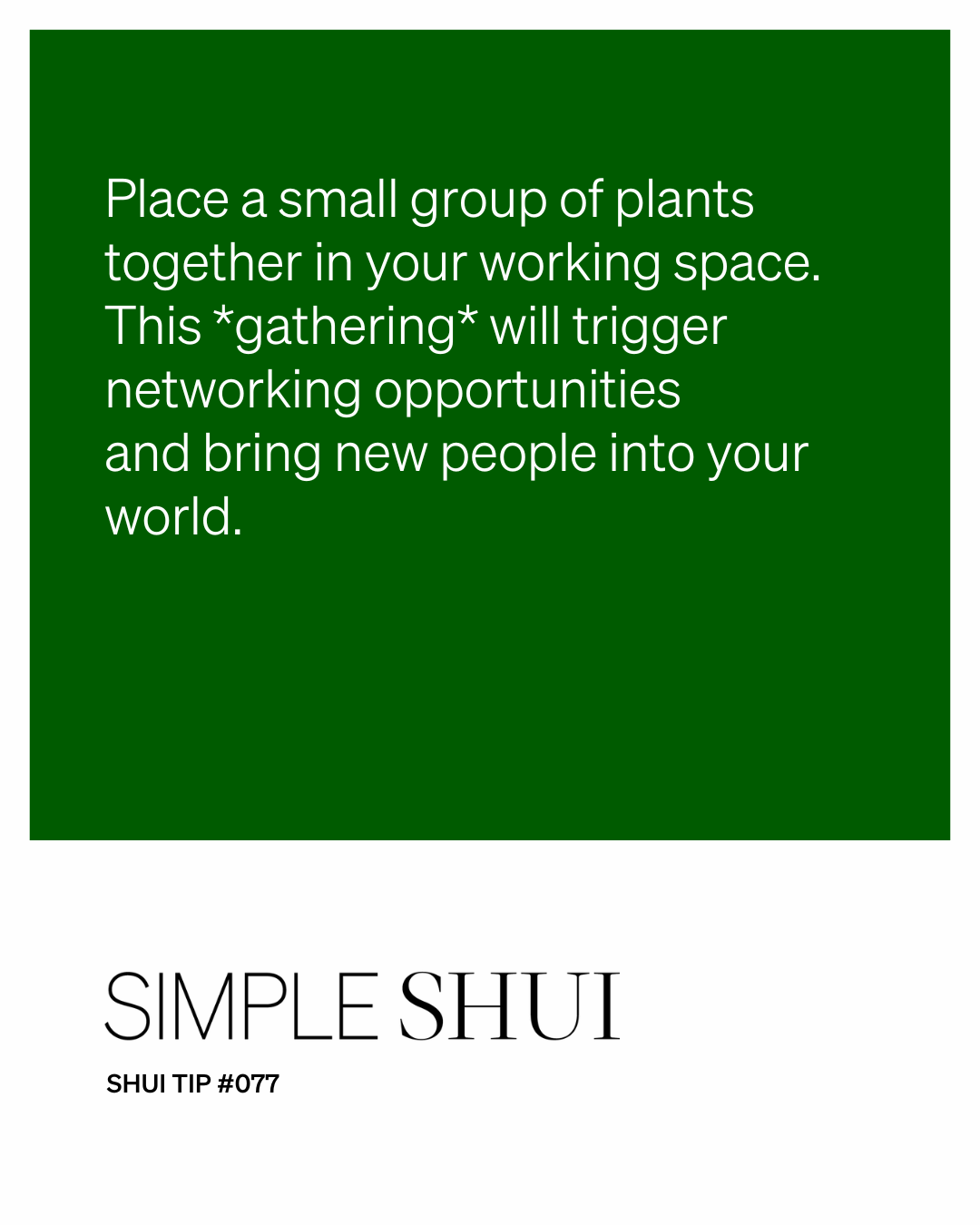 simple shui tip: plant some prosperity