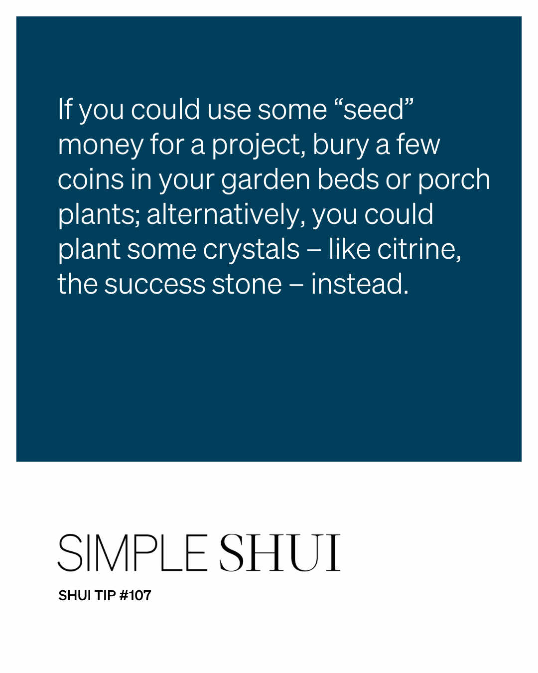 simple shui tip: plant some seed money